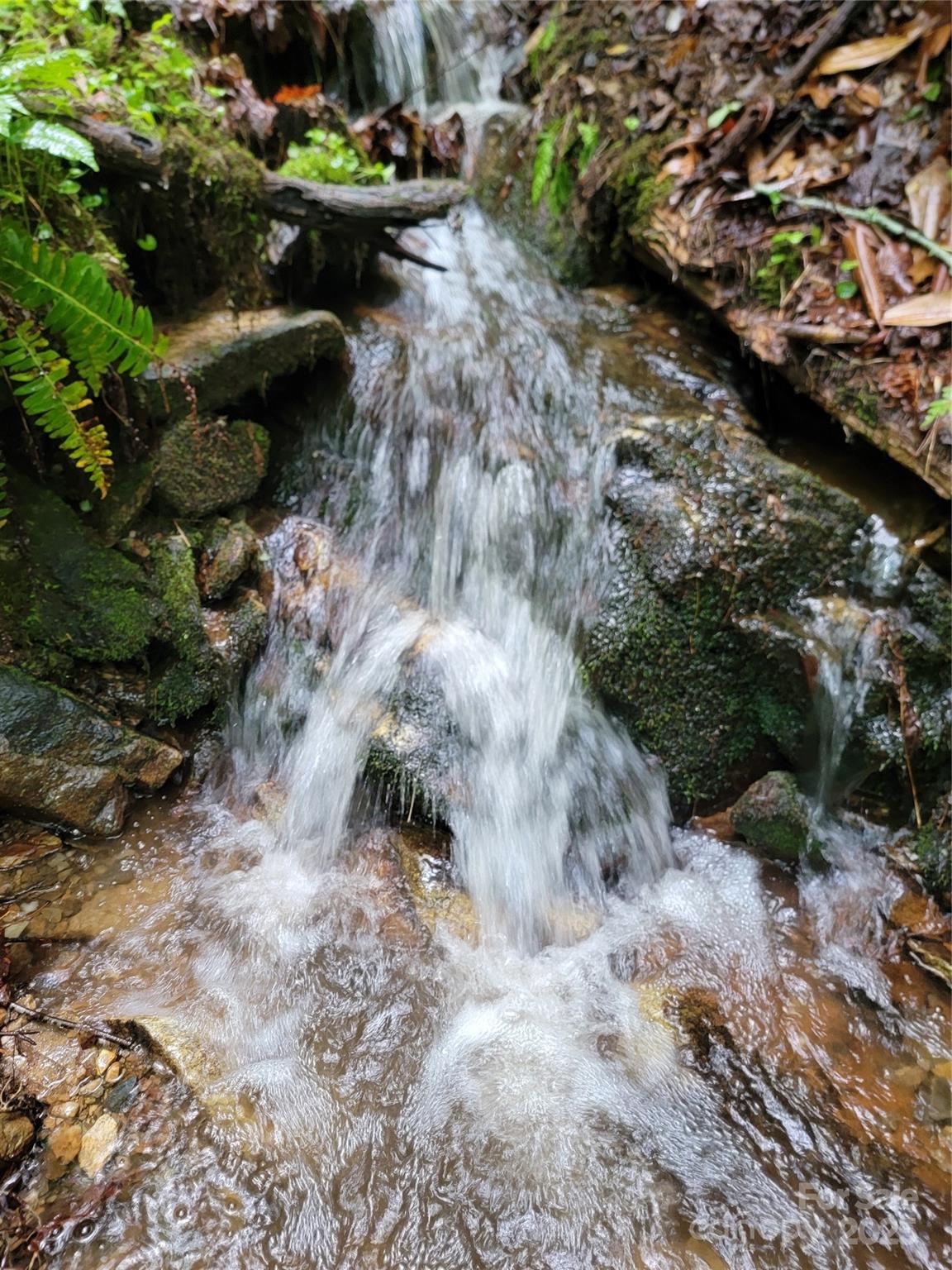 0 Rocky Top Road Lenoir, NC 28645 - Photo 5 of 18 a view of a backyard with plants and tree