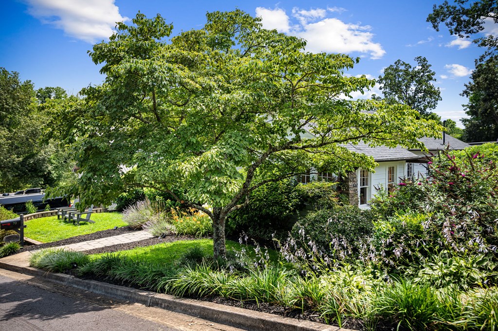70 McKinney Street Blue Ridge, GA 30513 - Photo 22 of 79 a view of a garden with plants and large trees