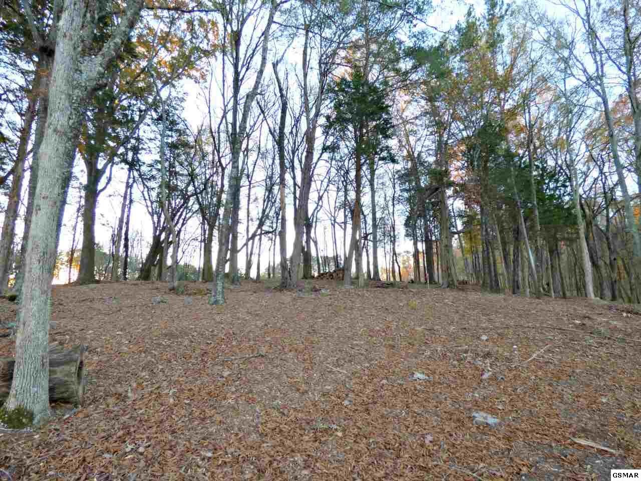 126 Ridge Point Trail Dandridge, TN 37725 - Photo 14 of 15 Gallery Image 14