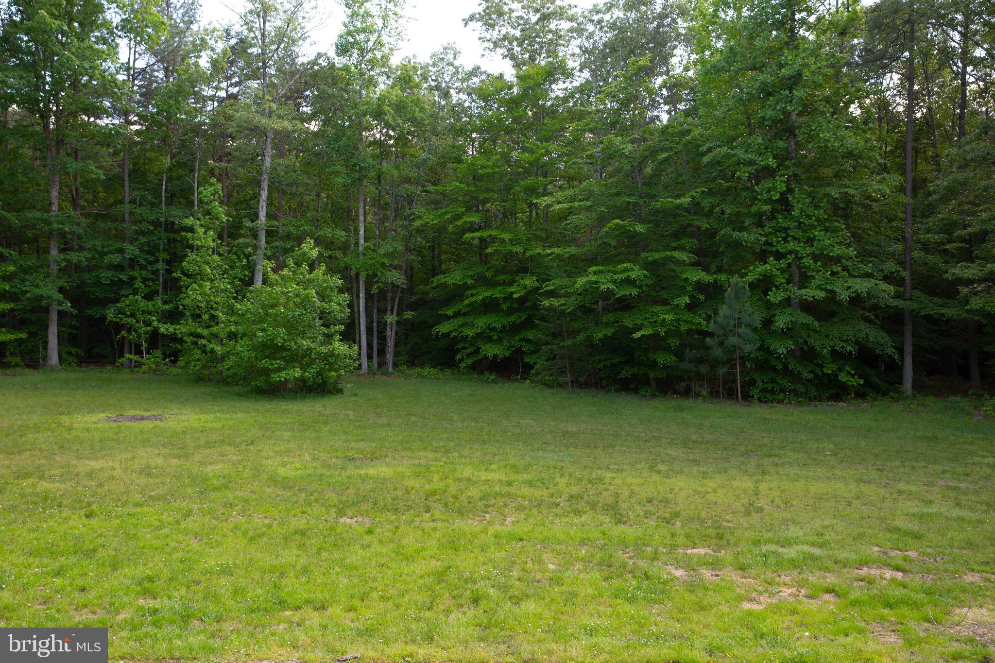 26054 Zion Road Ruther Glen, VA 22546 - Photo 84 of 86 Gallery Image 84
