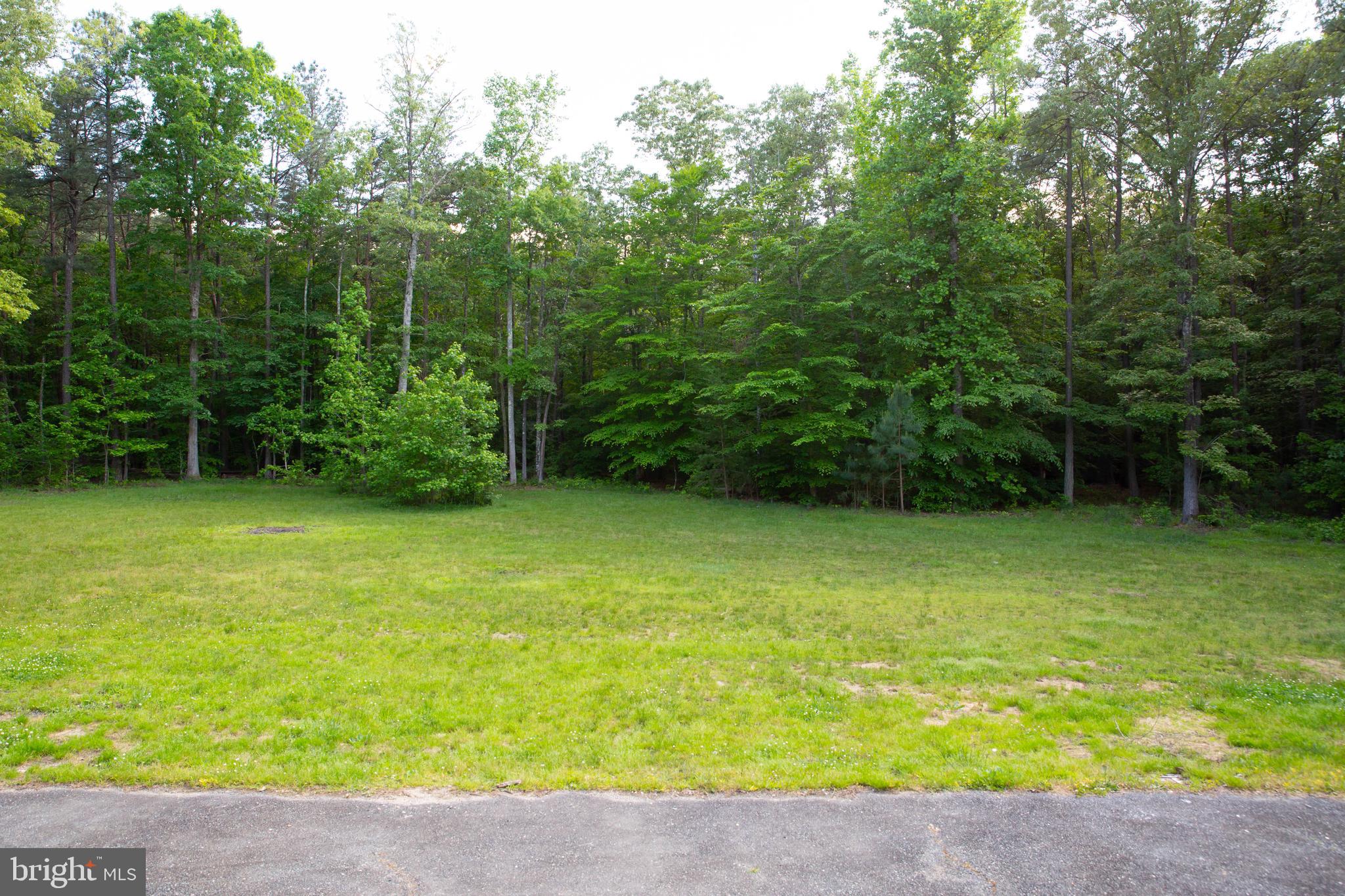 26054 Zion Road Ruther Glen, VA 22546 - Photo 85 of 86 Gallery Image 85