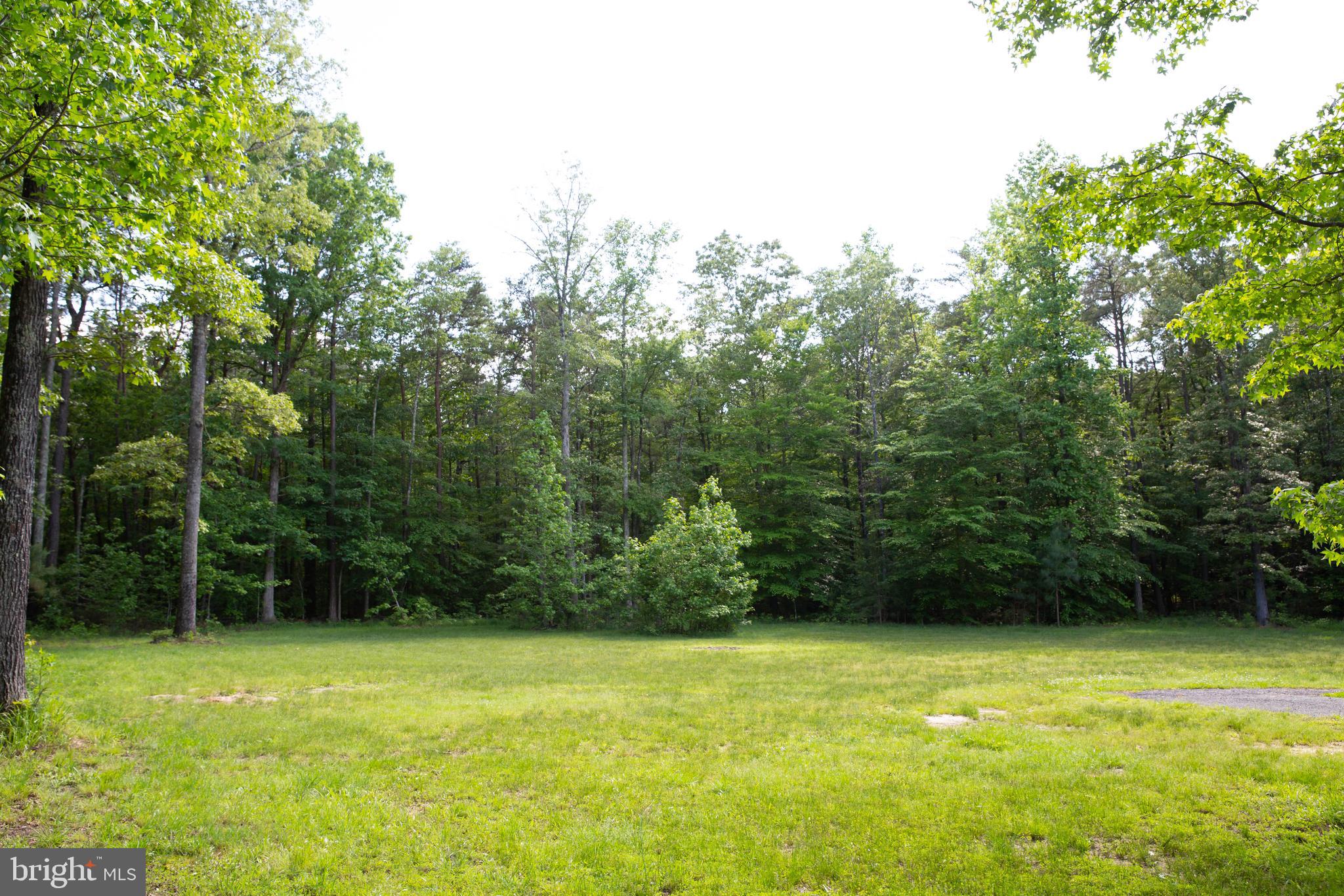 26054 Zion Road Ruther Glen, VA 22546 - Photo 86 of 86 Gallery Image 86