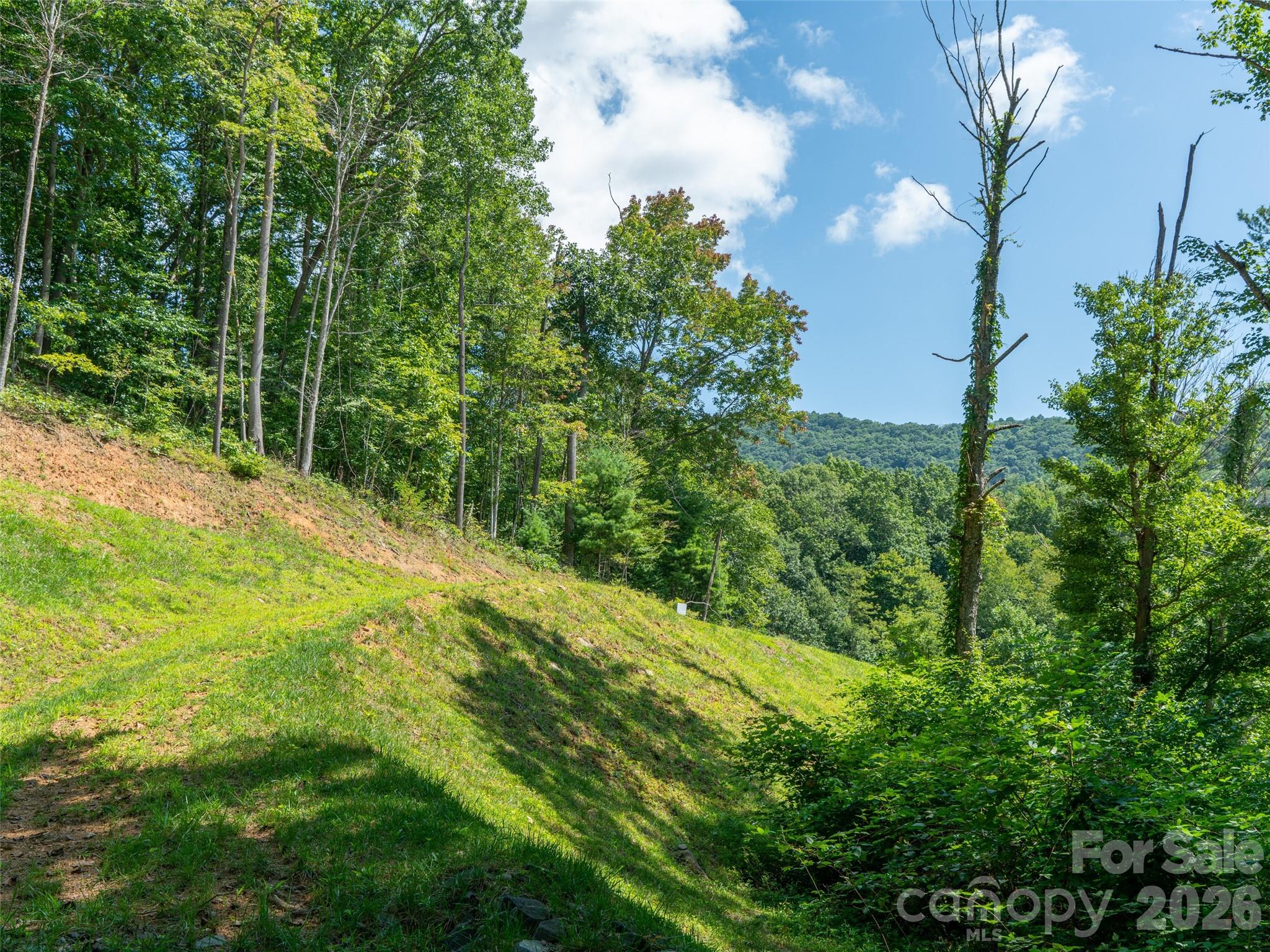 0 Locust Rough Mountain Road, Unit LOT 6 Burnsville, NC 28714 - Photo 22 of 26