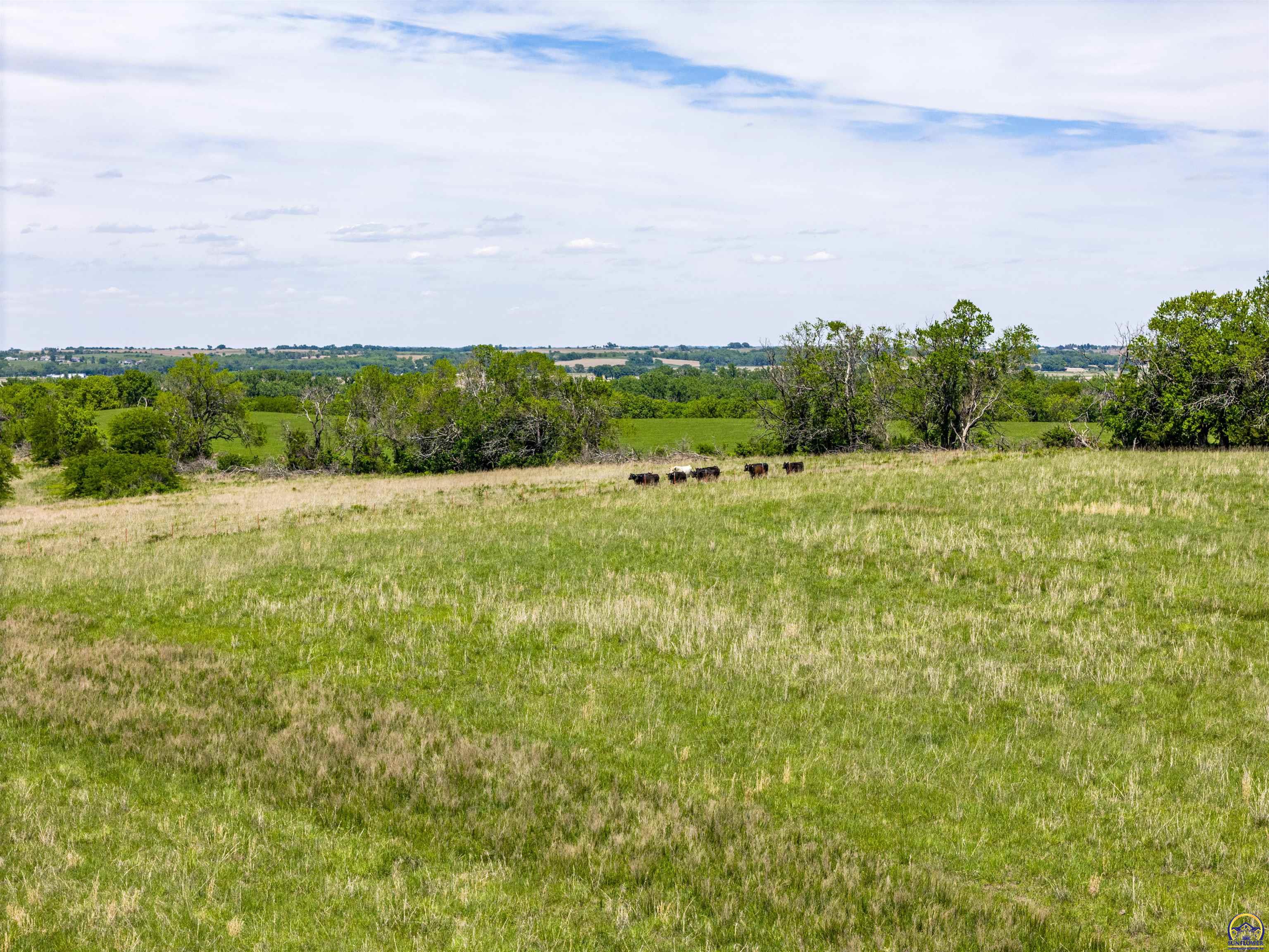 2026 Northwest Douglas Road Topeka, KS 66615 - Photo 59 of 94