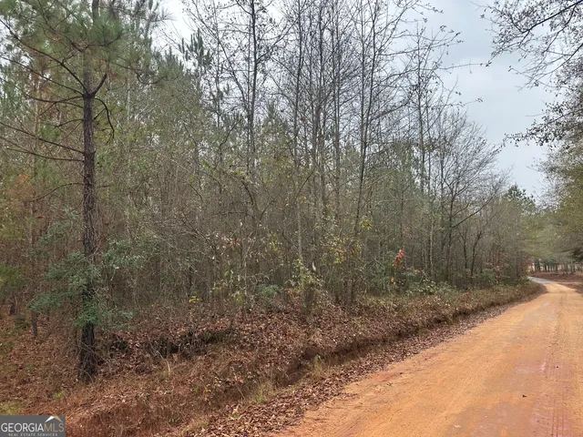 $115,000 | 1049 Kelly Road, Talbotton, GA 31827