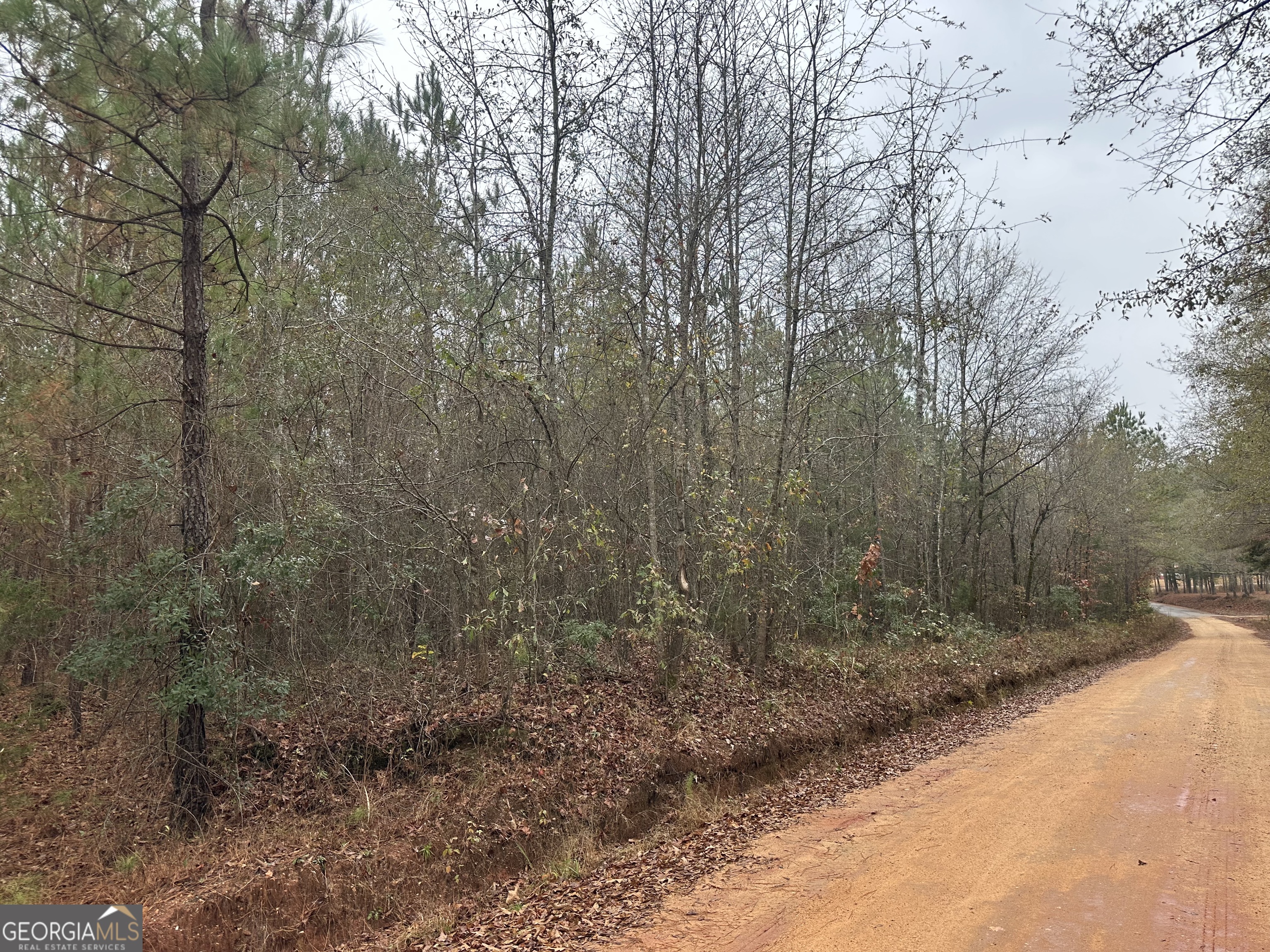 1049 Kelly Road Talbotton, GA 31827 - Photo 4 of 4