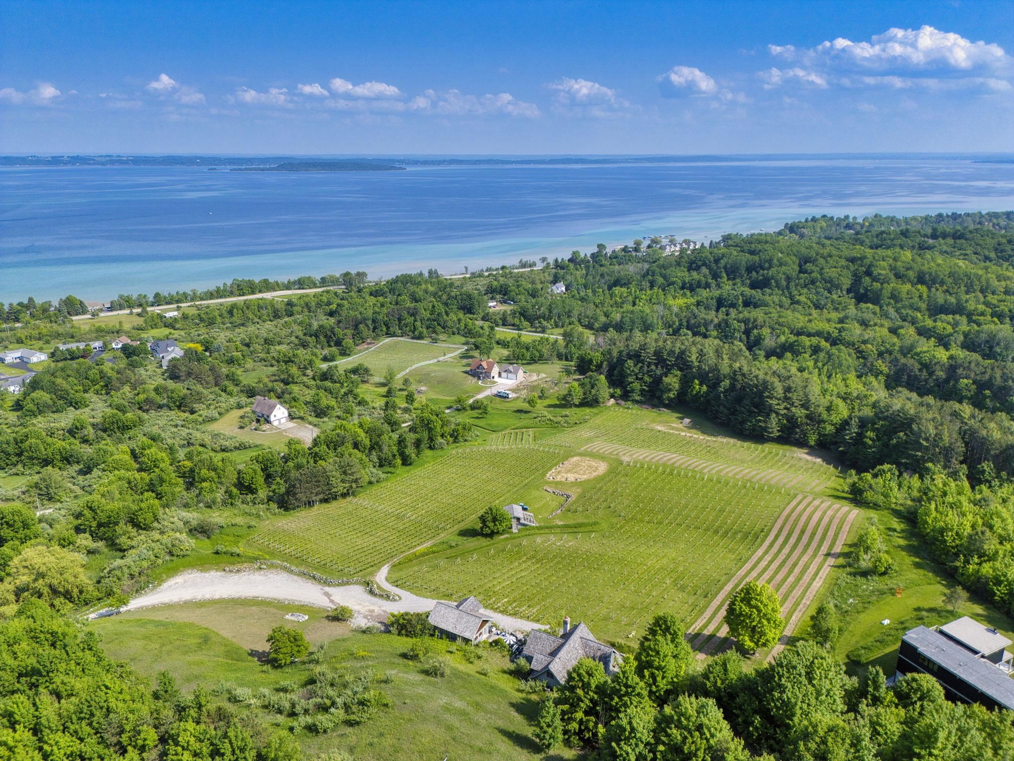 10702 East Hilltop Road Suttons Bay, MI 49682 - Photo 69 of 92