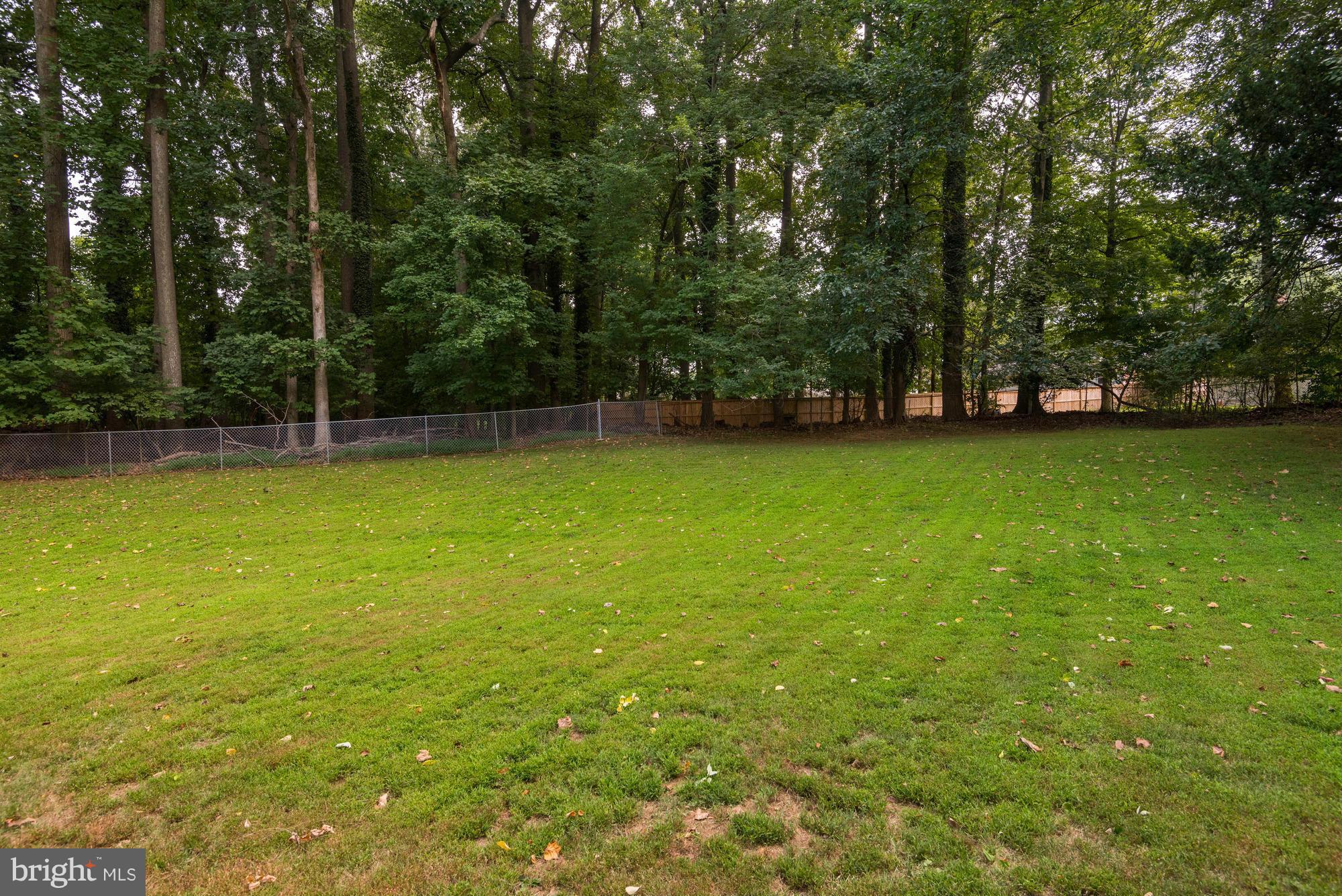 4208 Southend Road Rockville, MD 20853 - Photo 17 of 18 Exterior (Rear)
