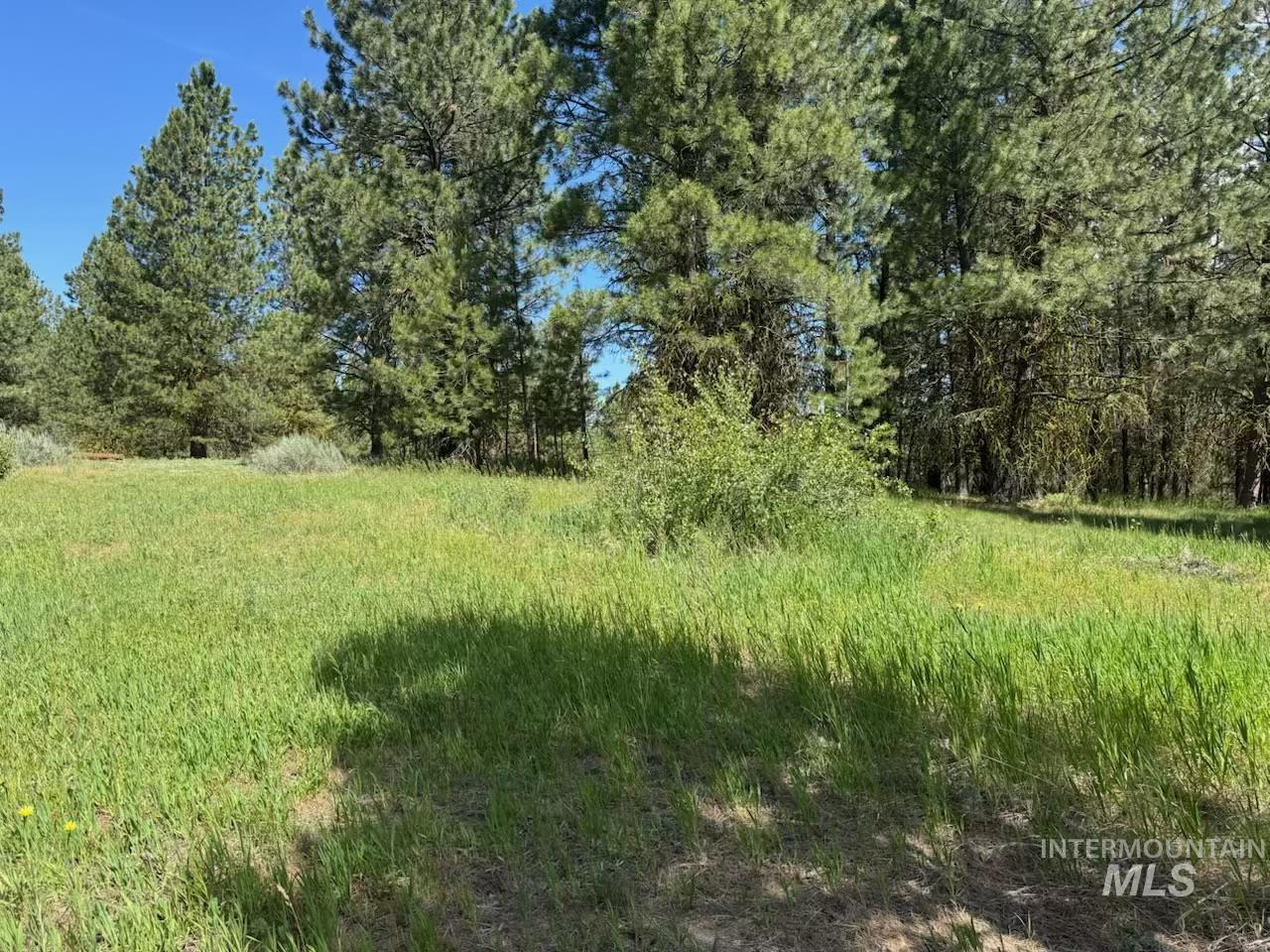 643 South Main Street Cascade, ID 83611 - Photo 32 of 38 View of local wilderness
