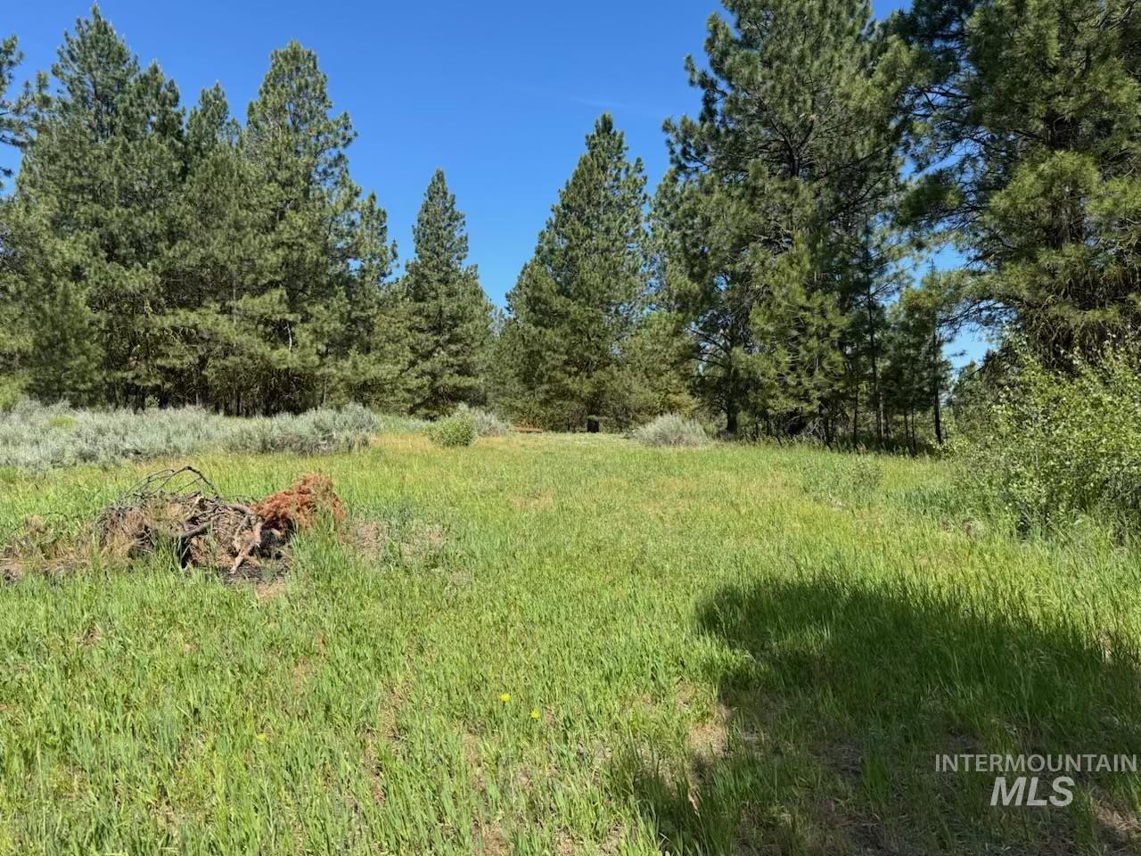 643 South Main Street Cascade, ID 83611 - Photo 33 of 38 View of yard