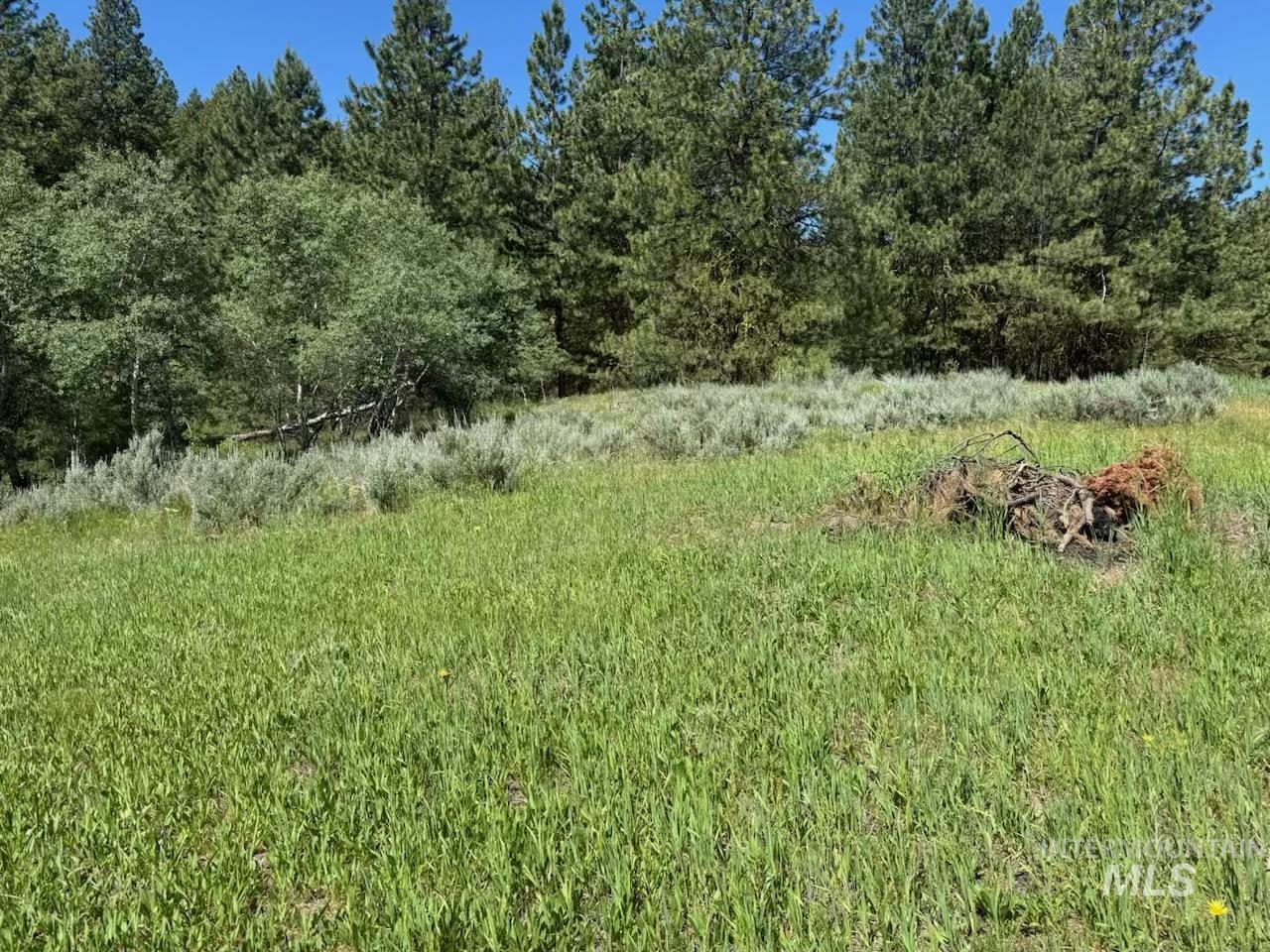 643 South Main Street Cascade, ID 83611 - Photo 34 of 38 View of local wilderness