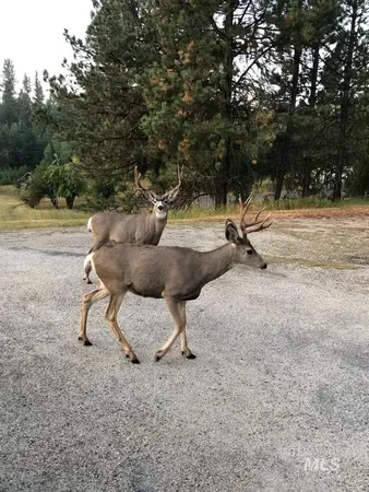 $679,000 | 643 South Main Street, Cascade, ID 83611