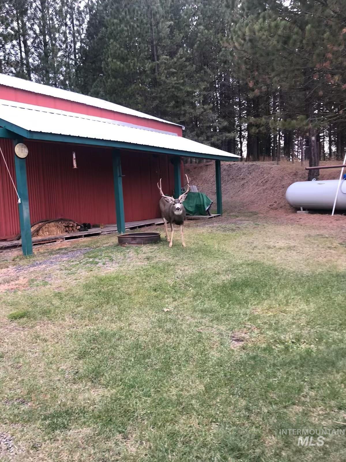 643 South Main Street Cascade, ID 83611 - Photo 6 of 38 View of grassy yard with an outbuilding