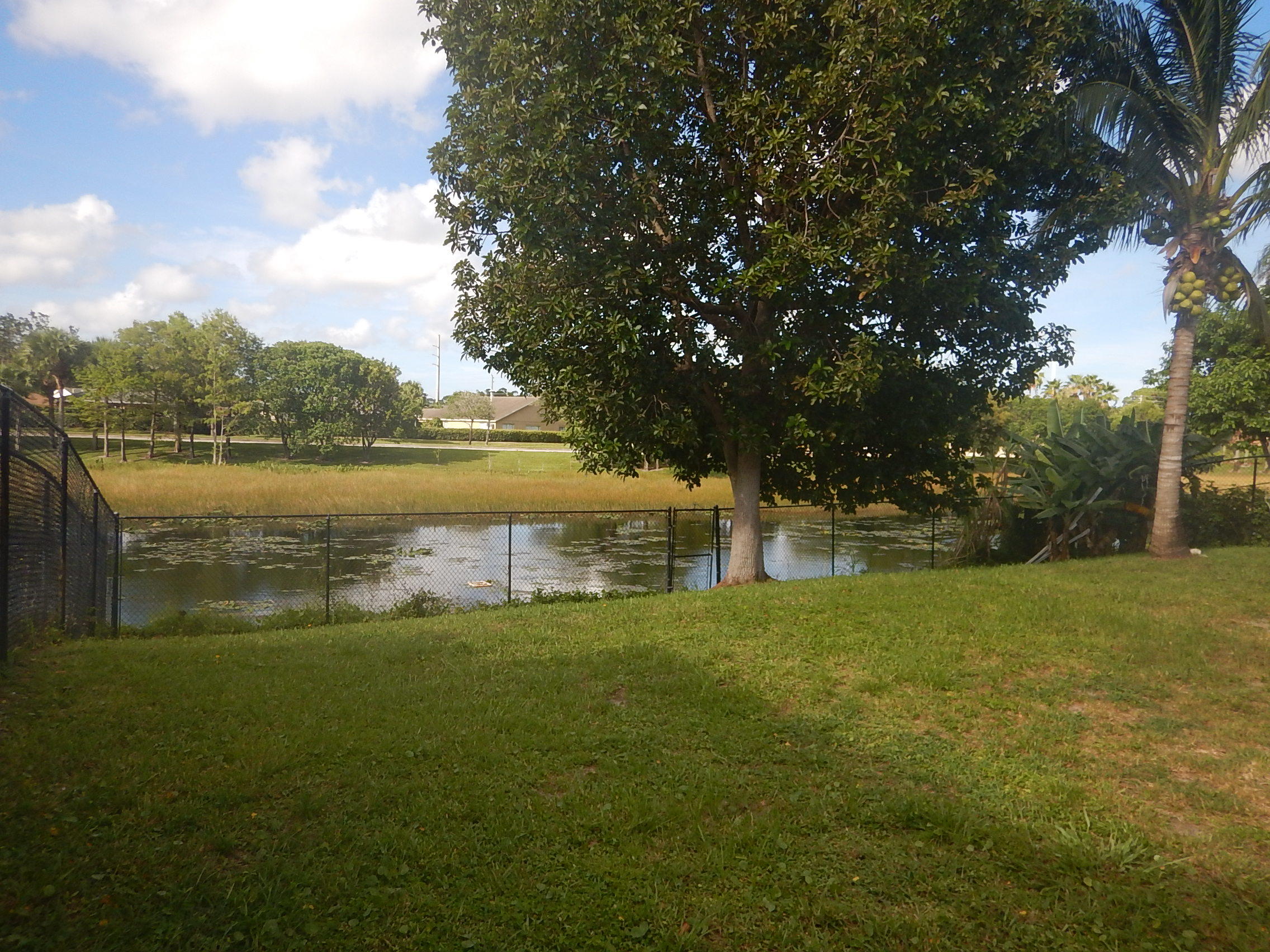 1196 Hatteras Circle West Palm Beach, FL 33413 - Photo 27 of 29 DSCN0858