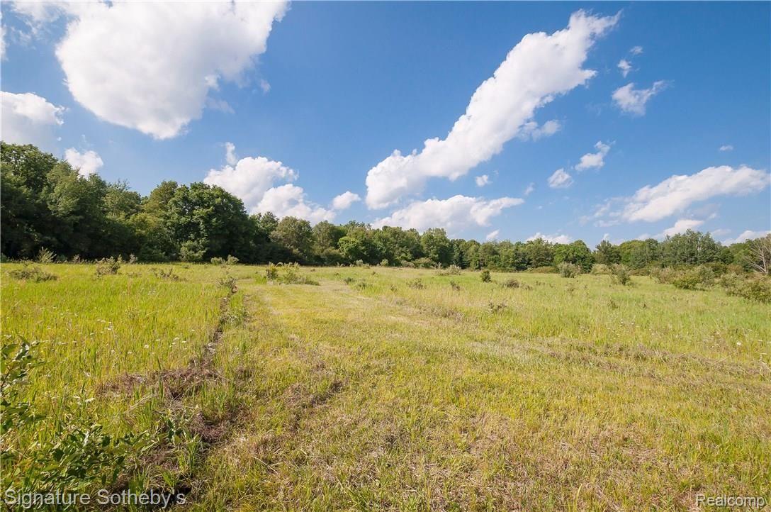 3114 Casey Road Metamora, MI 48455 - Photo 78 of 83 85File.JPG