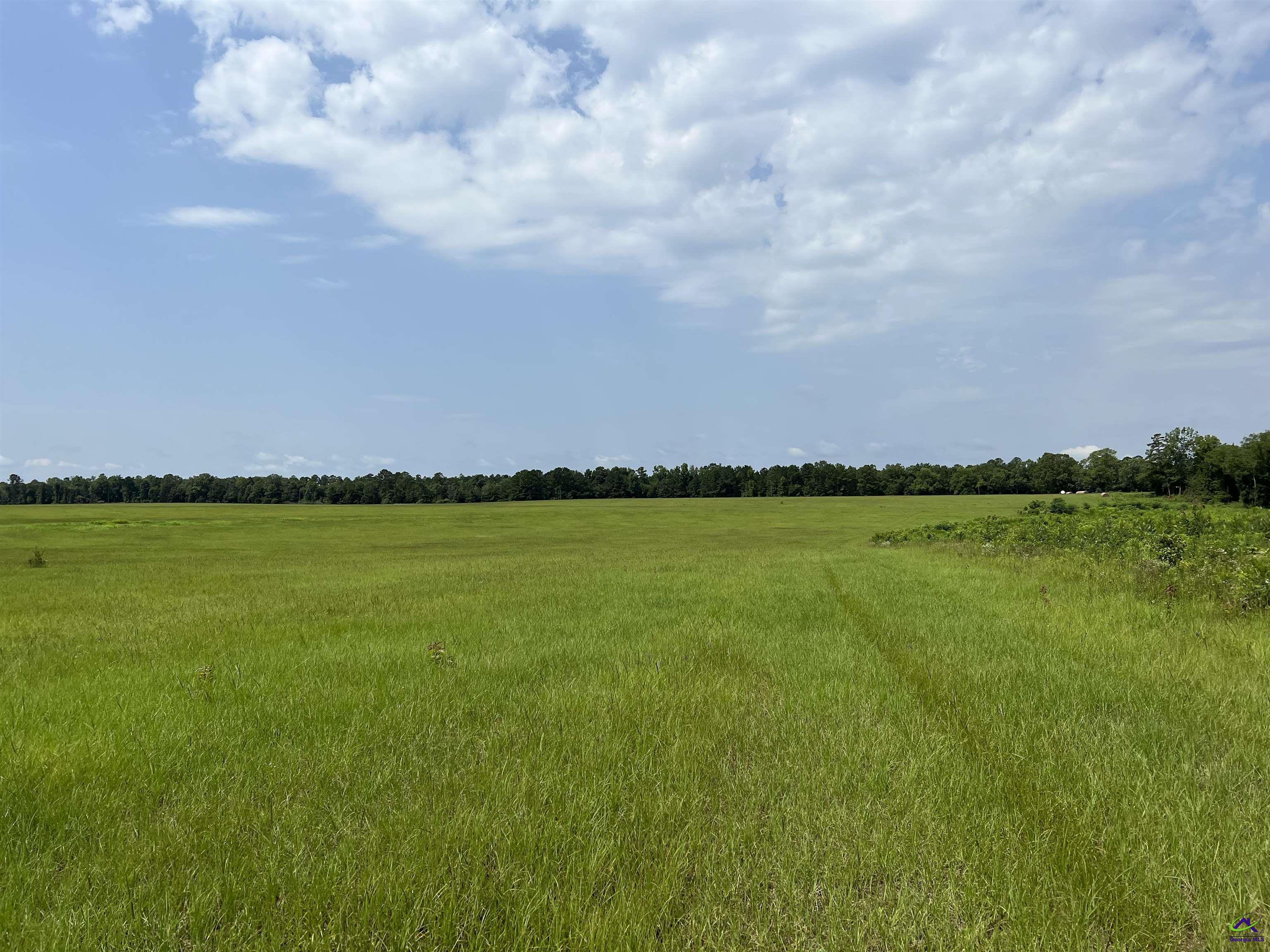 Red Dog Farm Road Cochran, GA 31014 - Photo 5 of 11