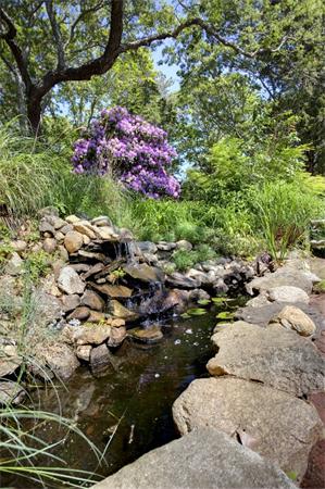 210 Head Of Pond Road Tisbury, MA 02568 - Photo 18 of 27 Gallery Image 18