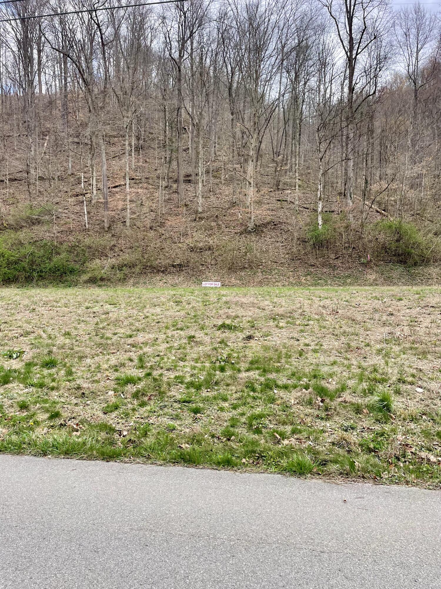 1791 Ratliff Creek Road Pikeville, KY 41501 - Photo 1 of 11 Lot 2