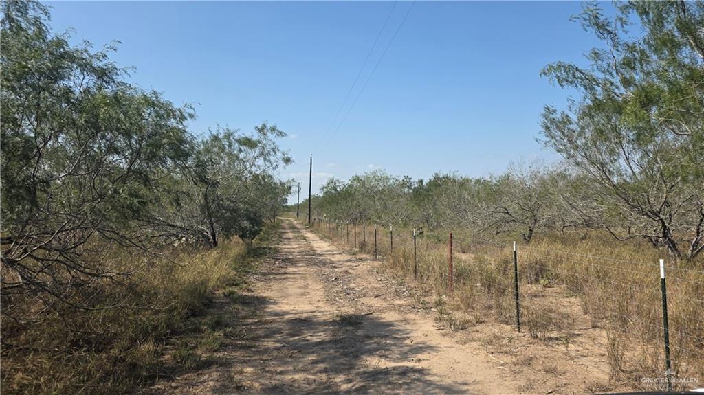 17391 Chapa Road Edinburg, TX 78542 - Photo 11 of 23 a view of a forest with trees in the background