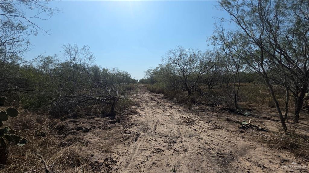 17391 Chapa Road Edinburg, TX 78542 - Photo 13 of 23 a big yard with lots of green space