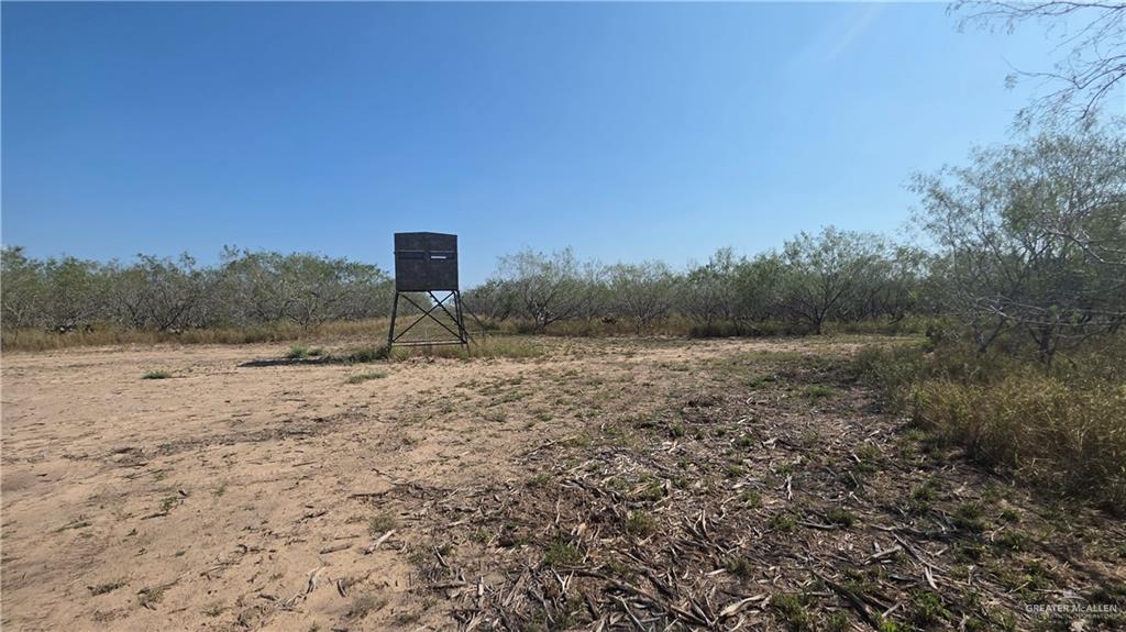 17391 Chapa Road Edinburg, TX 78542 - Photo 21 of 23 a view of a dry yard with wooden fence and large trees