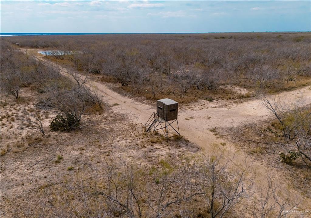 17391 Chapa Road Edinburg, TX 78542 - Photo 7 of 23 a view of a dry yard with trees