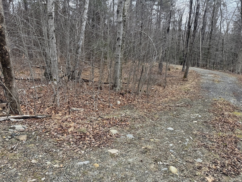 237 Trouble Street Cummington, MA 01026 - Photo 2 of 10