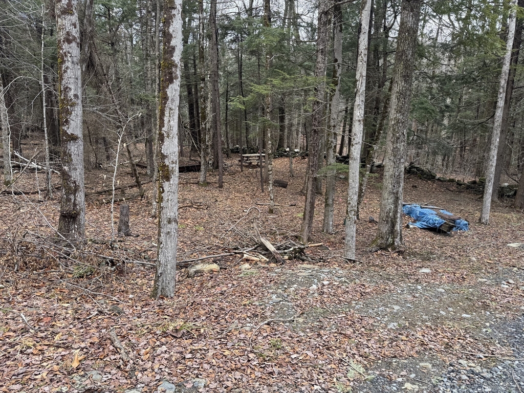 237 Trouble Street Cummington, MA 01026 - Photo 3 of 10