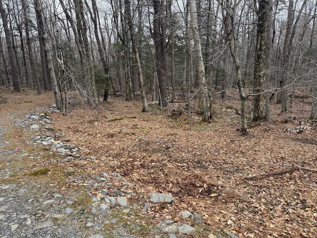 237 Trouble Street Cummington, MA 01026 - Photo 4 of 10