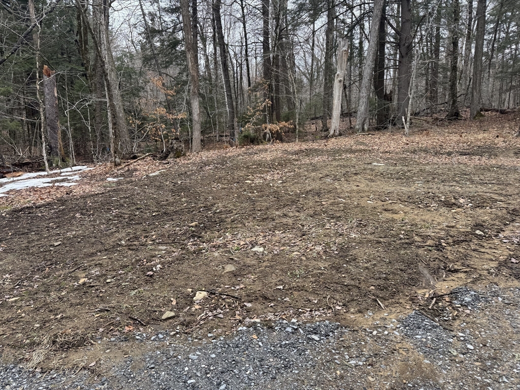 237 Trouble Street Cummington, MA 01026 - Photo 7 of 10