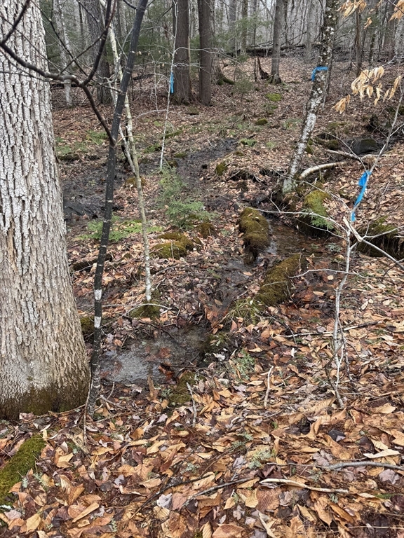 237 Trouble Street Cummington, MA 01026 - Photo 8 of 10
