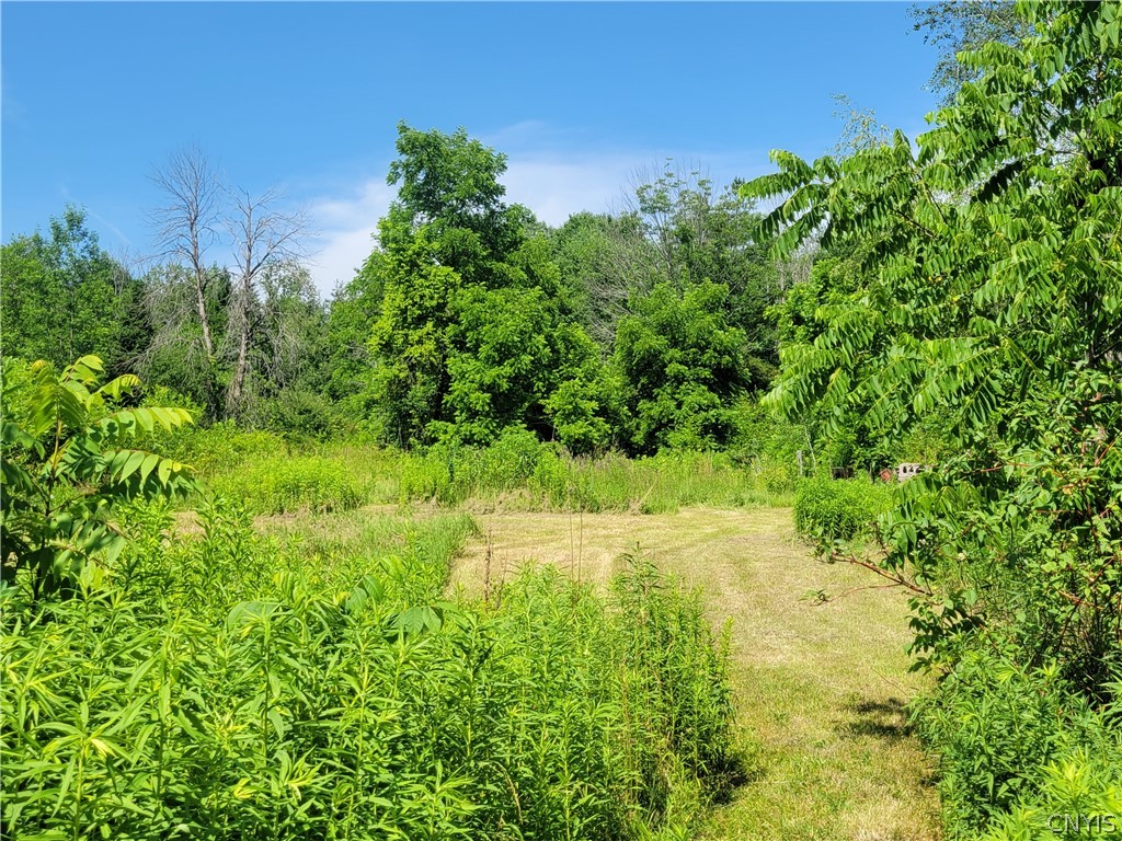 8961 Dinglehole Road Lysander, NY 13027 - Photo 3 of 17 45.7 ACRES