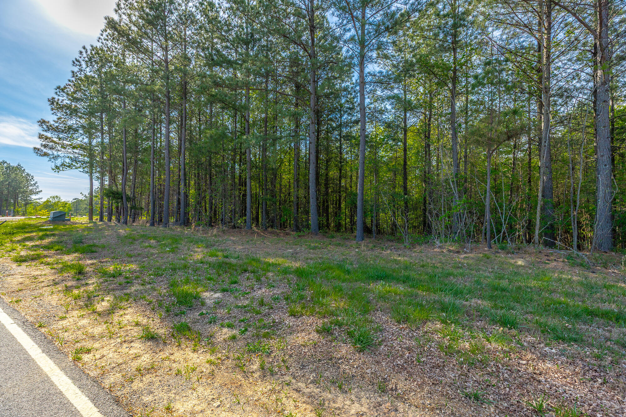 0 Crockett Pointe Point, Unit JF179 Jasper, TN 37347 - Photo 1 of 73 0 Crockett Point - JF179 HD-53