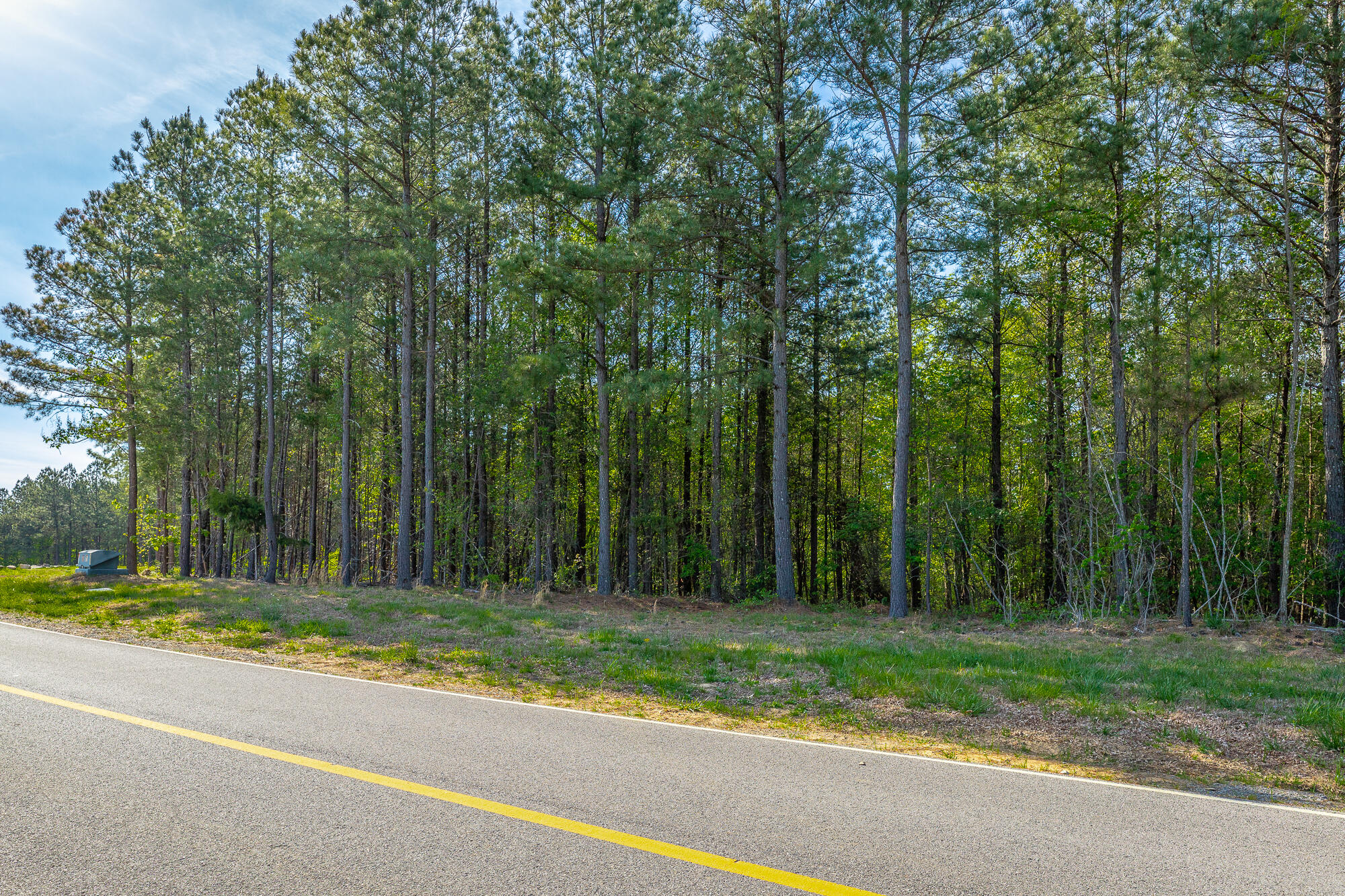0 Crockett Pointe Point, Unit JF179 Jasper, TN 37347 - Photo 11 of 73 0 Crockett Point - JF179 HD-52