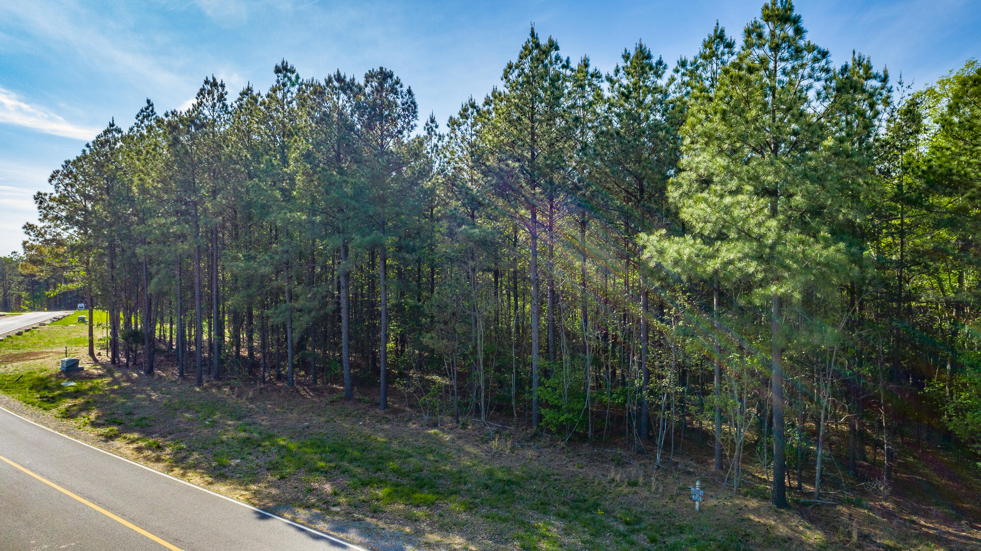 0 Crockett Pointe Point, Unit JF179 Jasper, TN 37347 - Photo 15 of 73 0 Crockett Point - JF179 HD-1