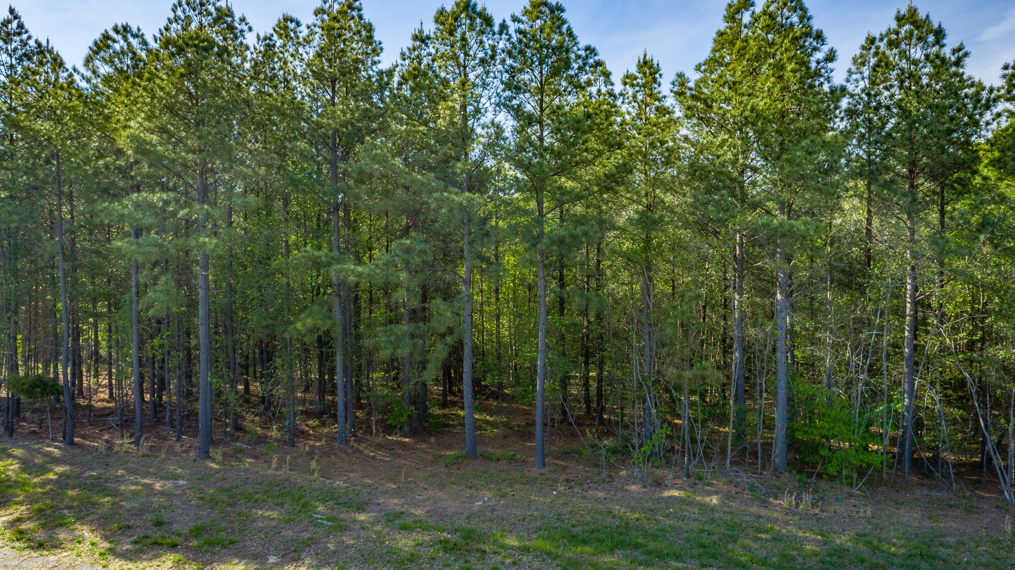 0 Crockett Pointe Point, Unit JF179 Jasper, TN 37347 - Photo 16 of 73 0 Crockett Point - JF179 HD-2