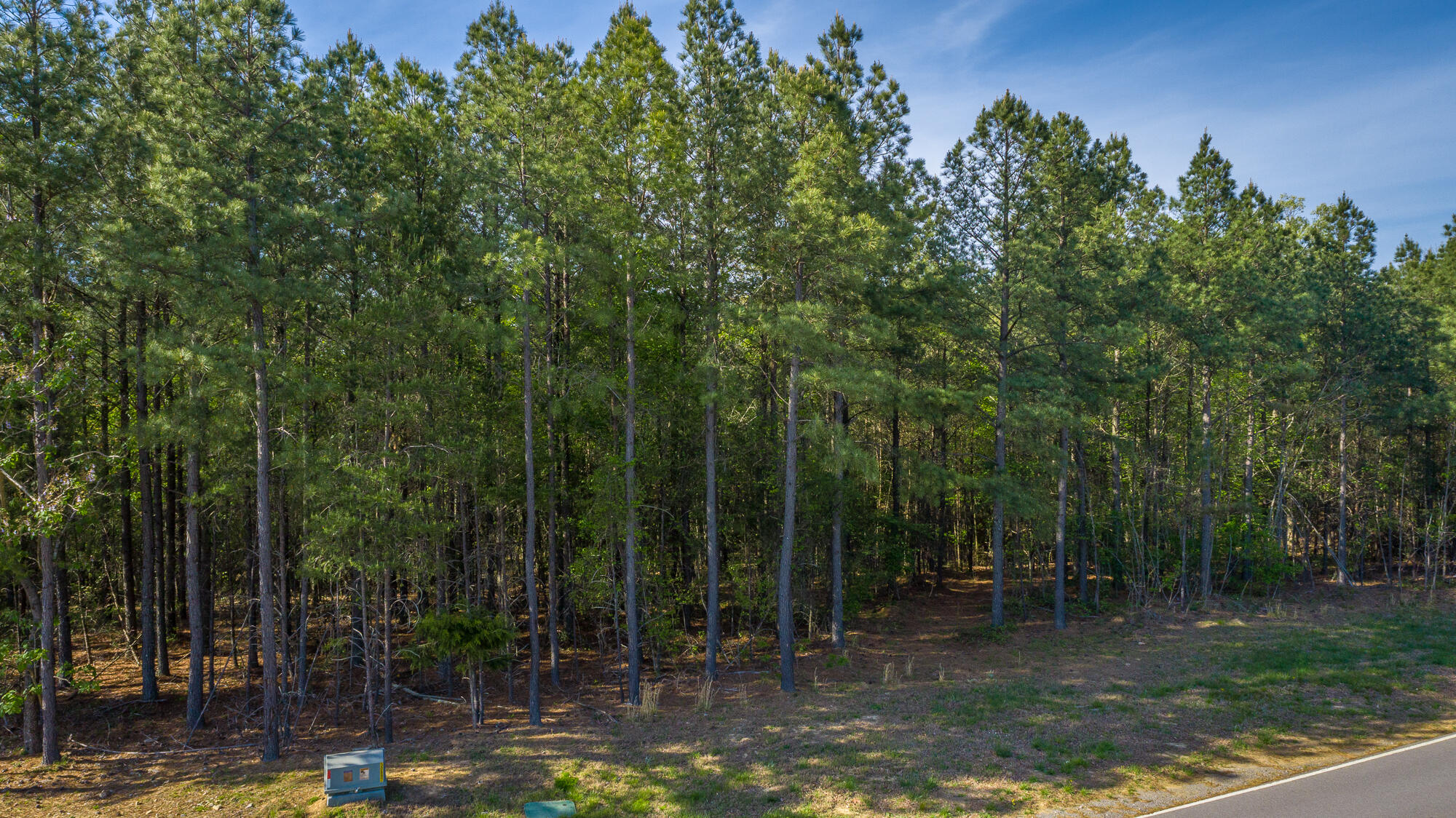 0 Crockett Pointe Point, Unit JF179 Jasper, TN 37347 - Photo 18 of 73 0 Crockett Point - JF179 HD-4