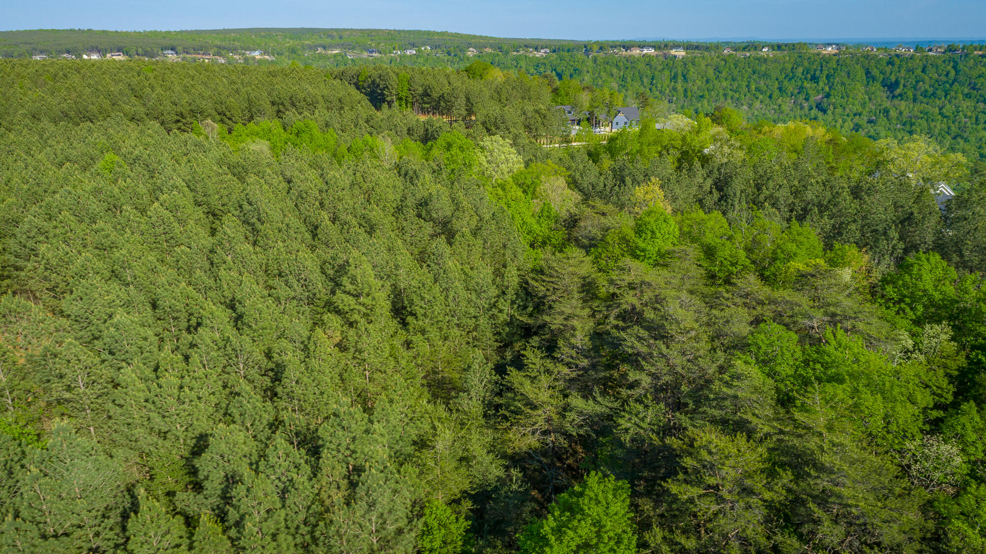 0 Crockett Pointe Point, Unit JF179 Jasper, TN 37347 - Photo 23 of 73 0 Crockett Point - JF179 HD-11