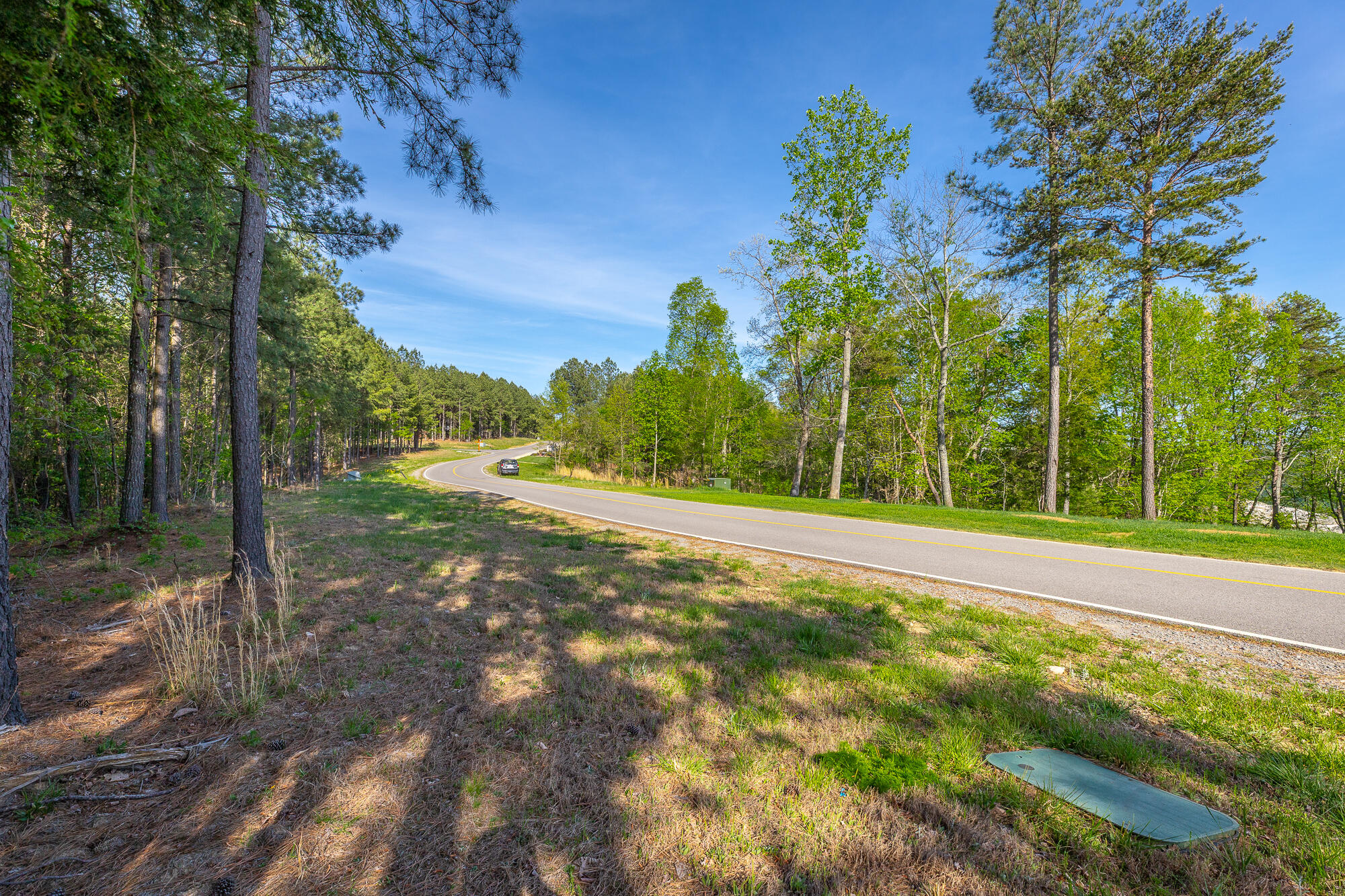 0 Crockett Pointe Point, Unit JF179 Jasper, TN 37347 - Photo 3 of 73 0 Crockett Point - JF179 HD-57
