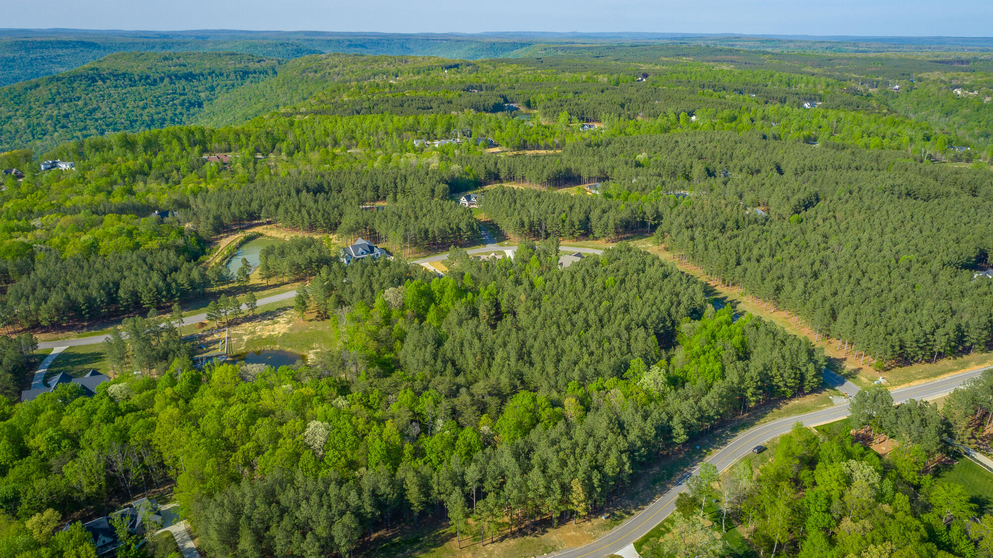 0 Crockett Pointe Point, Unit JF179 Jasper, TN 37347 - Photo 48 of 73 0 Crockett Point - JF179 HD-44