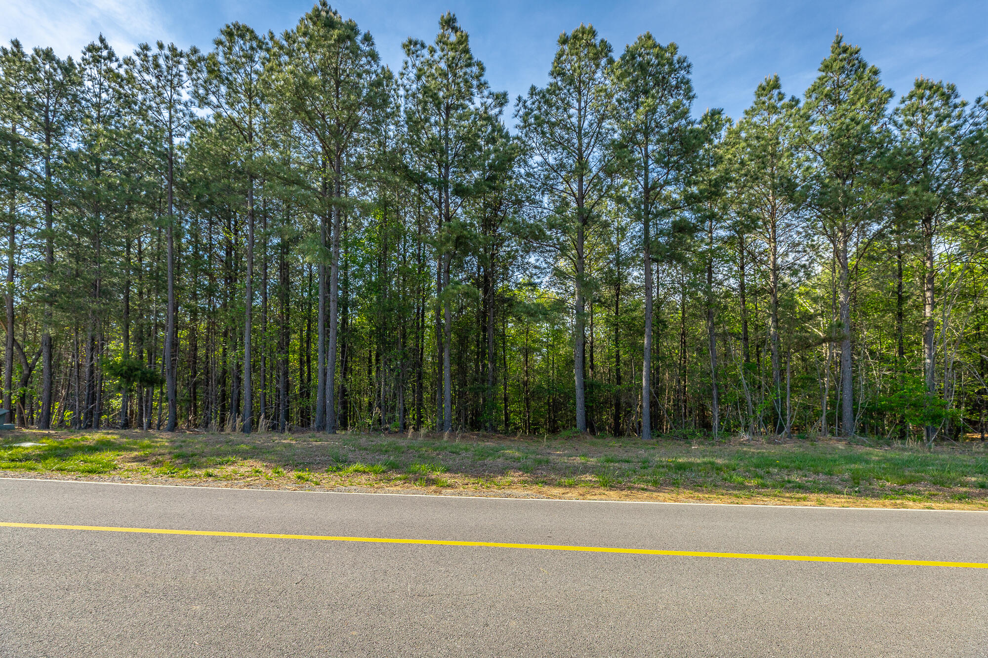 0 Crockett Pointe Point, Unit JF179 Jasper, TN 37347 - Photo 5 of 73 0 Crockett Point - JF179 HD-47