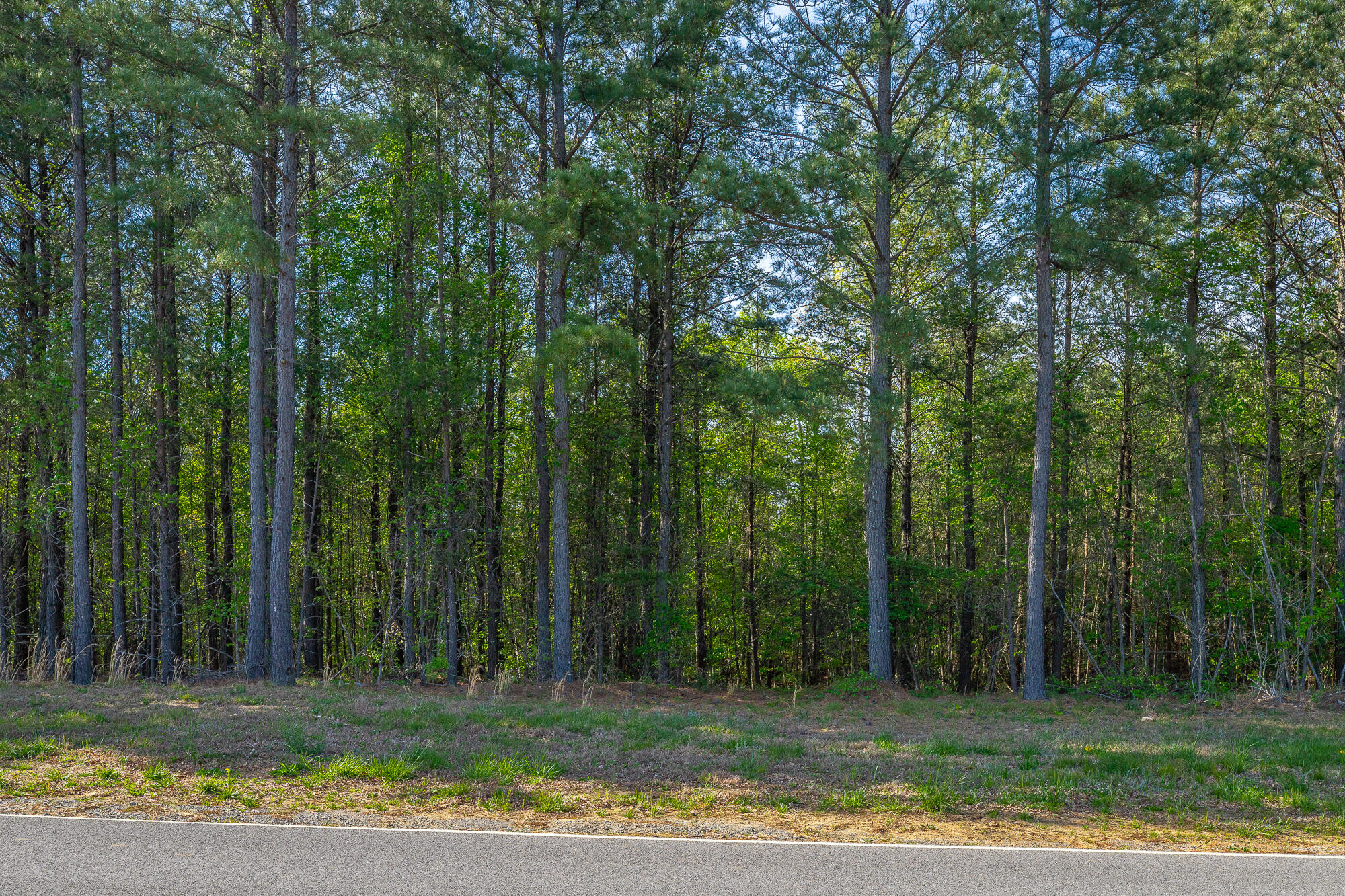 0 Crockett Pointe Point, Unit JF179 Jasper, TN 37347 - Photo 7 of 73 0 Crockett Point - JF179 HD-48