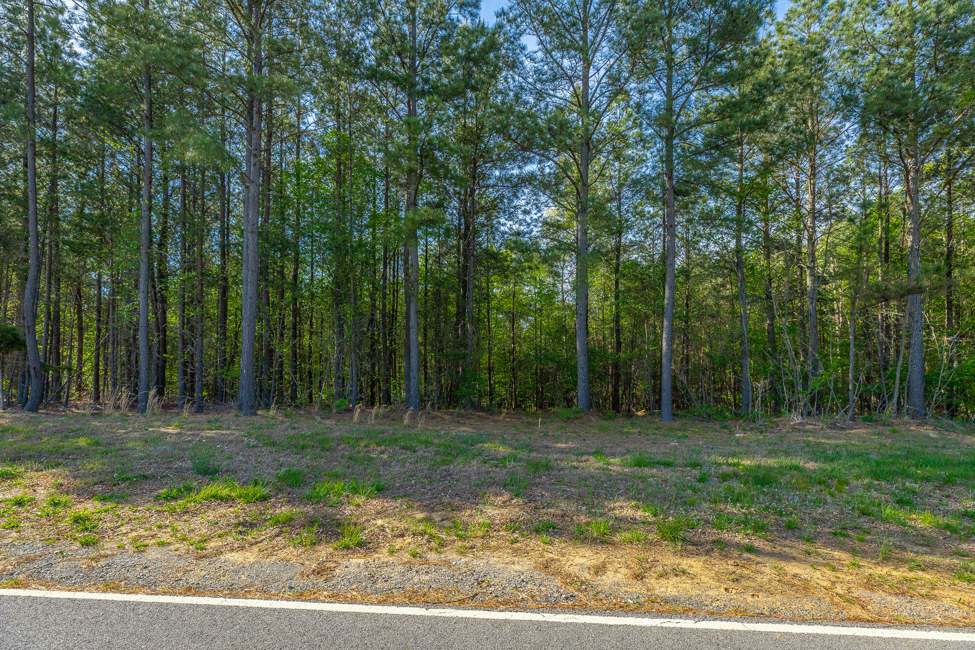 0 Crockett Pointe Point, Unit JF179 Jasper, TN 37347 - Photo 8 of 73 0 Crockett Point - JF179 HD-49