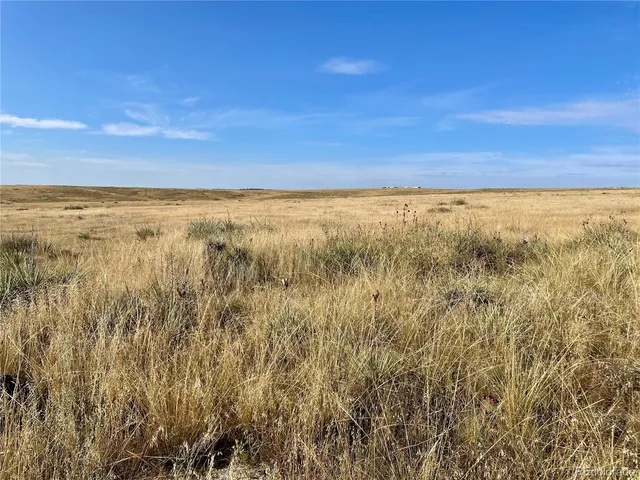 a view of an ocean beach