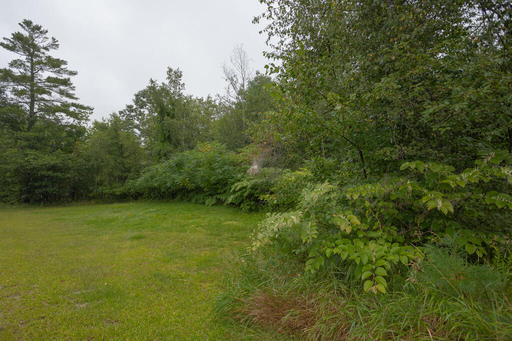 293 Franklin Road Jay, ME 04239 - Photo 38 of 41 sandyriverrealty-39