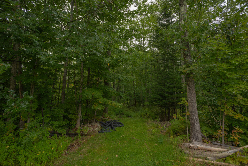 293 Franklin Road Jay, ME 04239 - Photo 39 of 41 sandyriverrealty-9