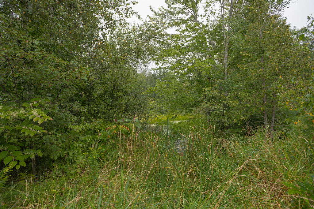 293 Franklin Road Jay, ME 04239 - Photo 40 of 41 sandyriverrealty-38