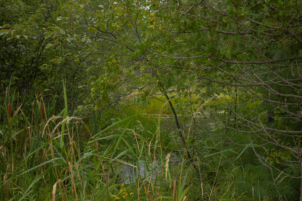 293 Franklin Road Jay, ME 04239 - Photo 41 of 41 sandyriverrealty-40