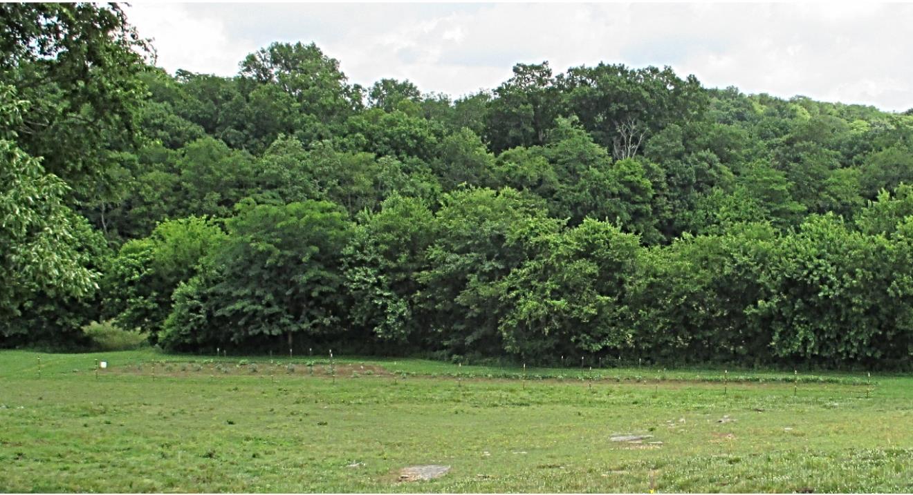 1933 C Chicken Road Lebanon, TN 37090 - Photo 4 of 10