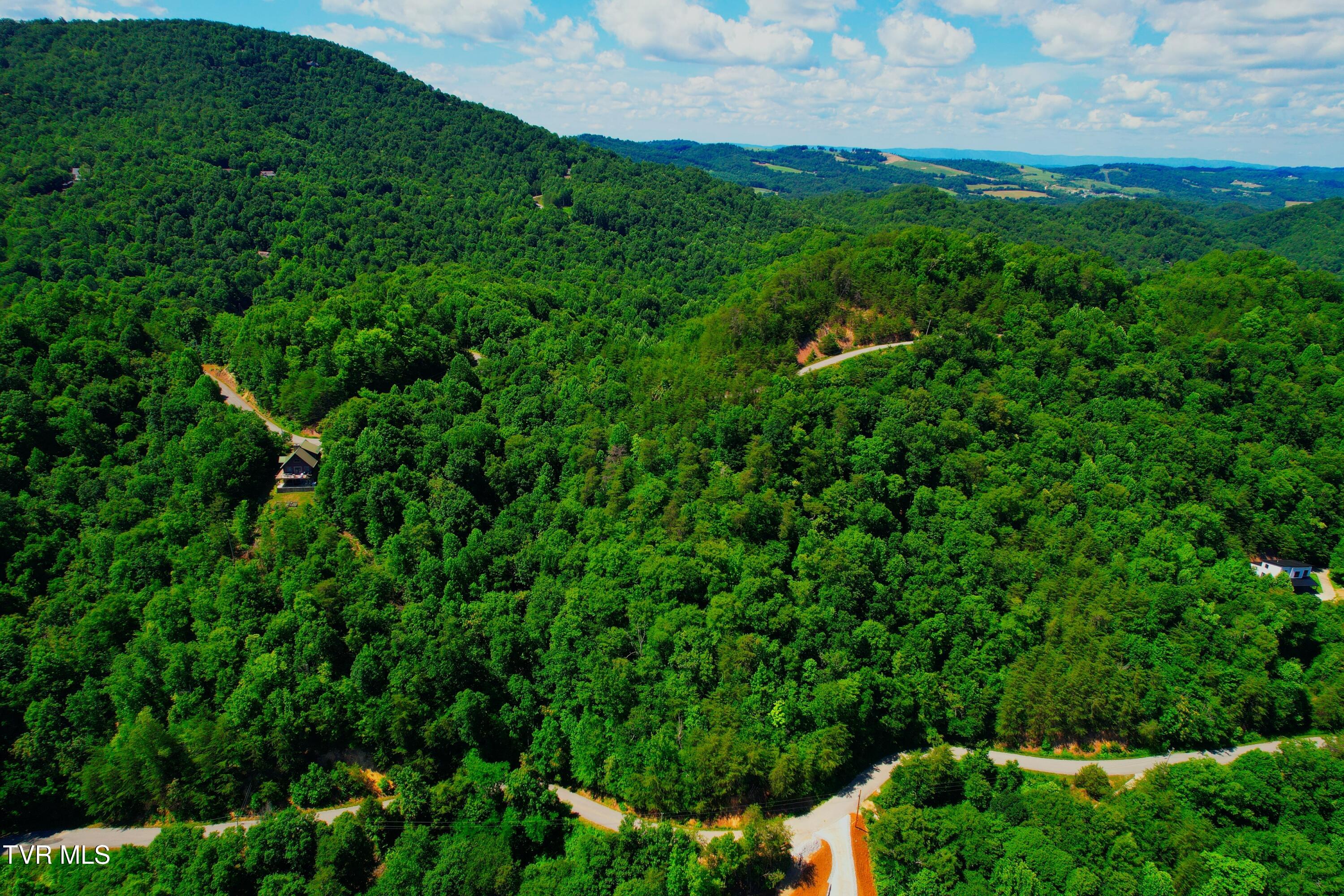 Lot 69 Ridgecrest Road New Tazewell, TN 37825 - Photo 12 of 36 Photo (17) (1)